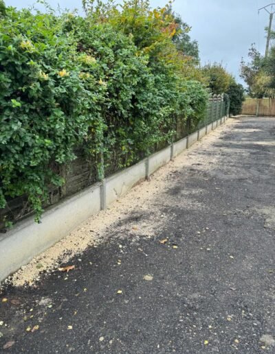 allée jardin avant chantier